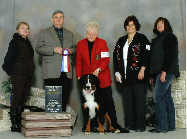 Best of Breed - New Champion